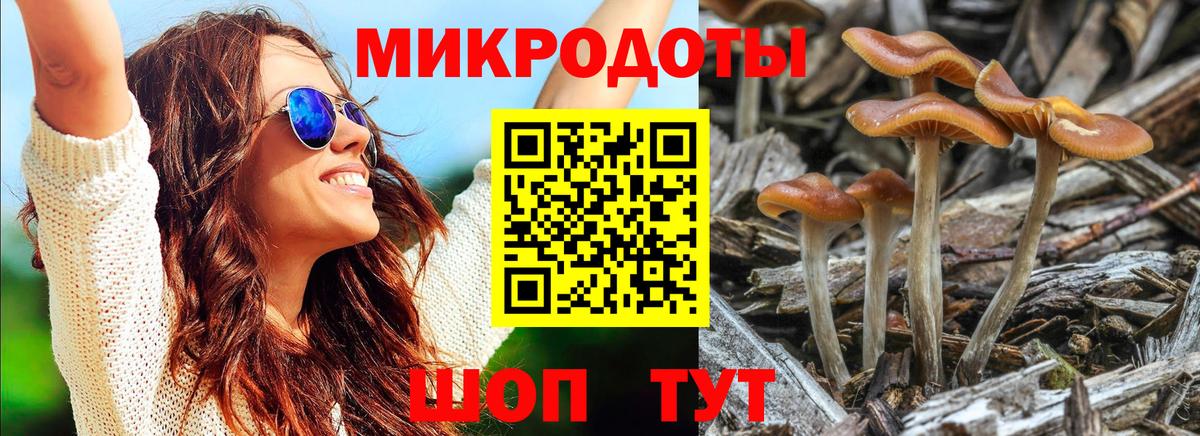 Дальнегорск  хочу наркоту  Вход с VPN  Псилоцибиновые грибы ЛСД 